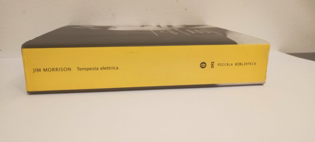Tempesta elettrica: poesie e scritti perduti